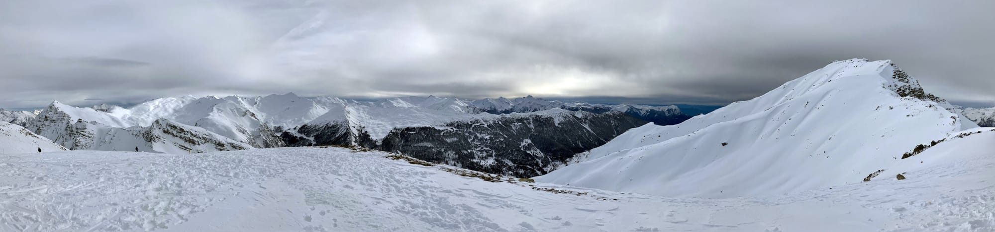 Natur aus Leidenschaft
