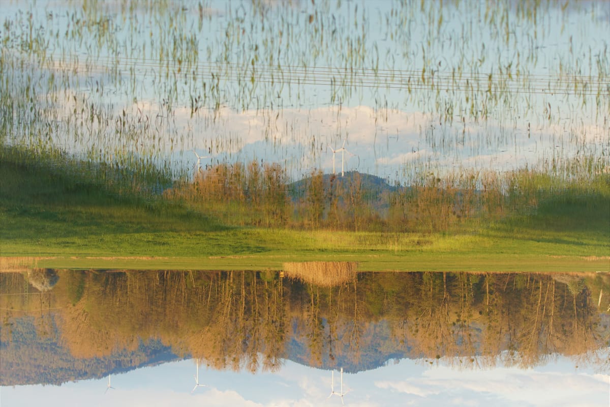 Autorité Cognitive et vérité